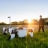 Discover the Fascinating World of Robotics: A Journey with Robotics Academy small image
